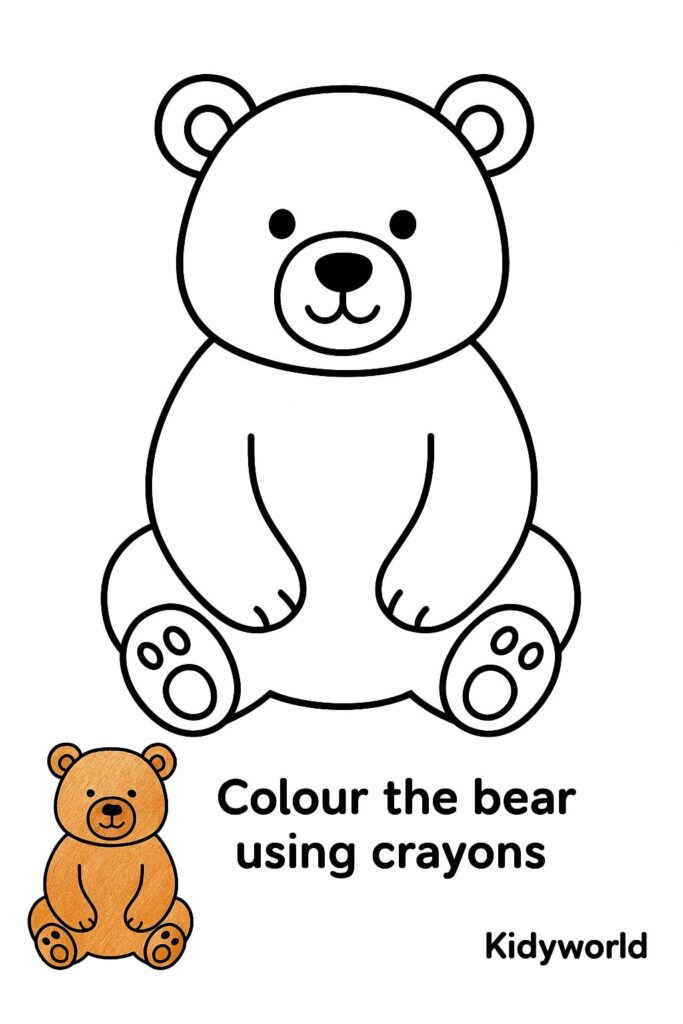 Bear Outline