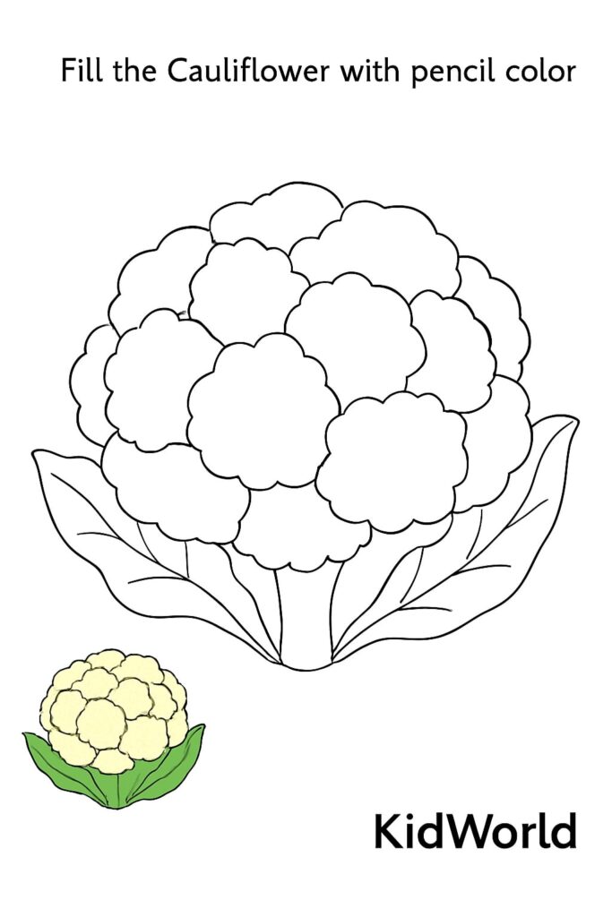 Cauliflower