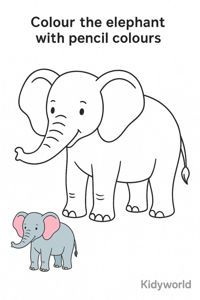 Elephant Outline