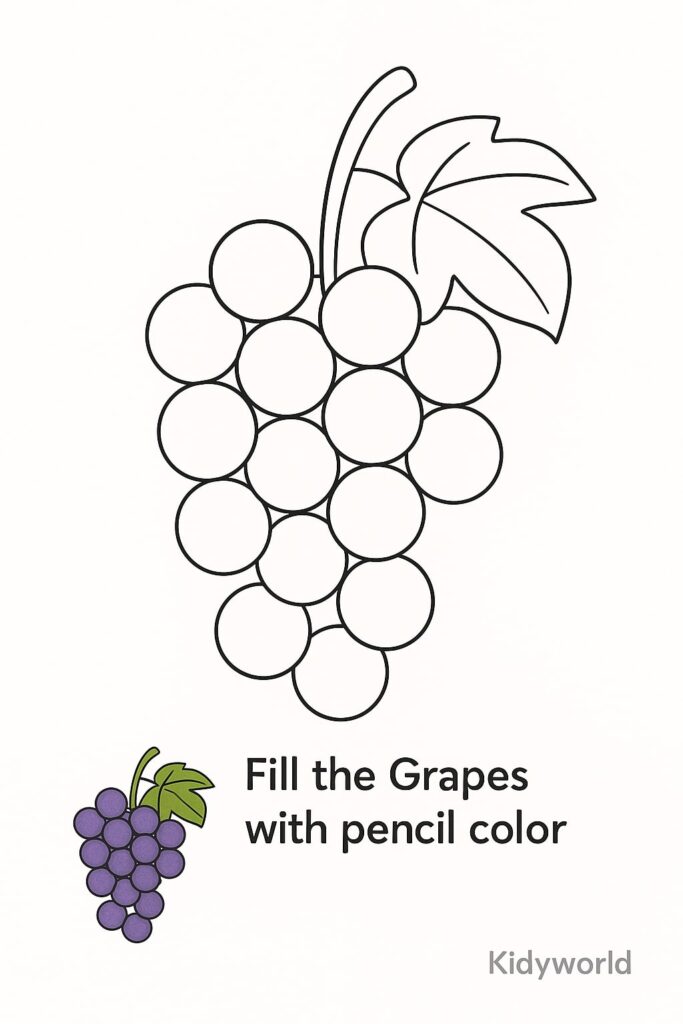 Grapes