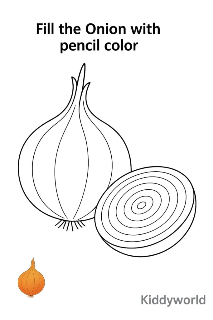Onion