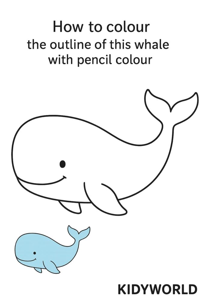 Whale Outlne