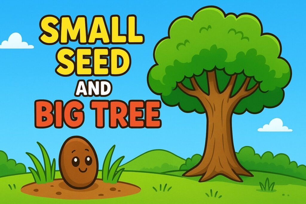 Small Seed And Big Tree