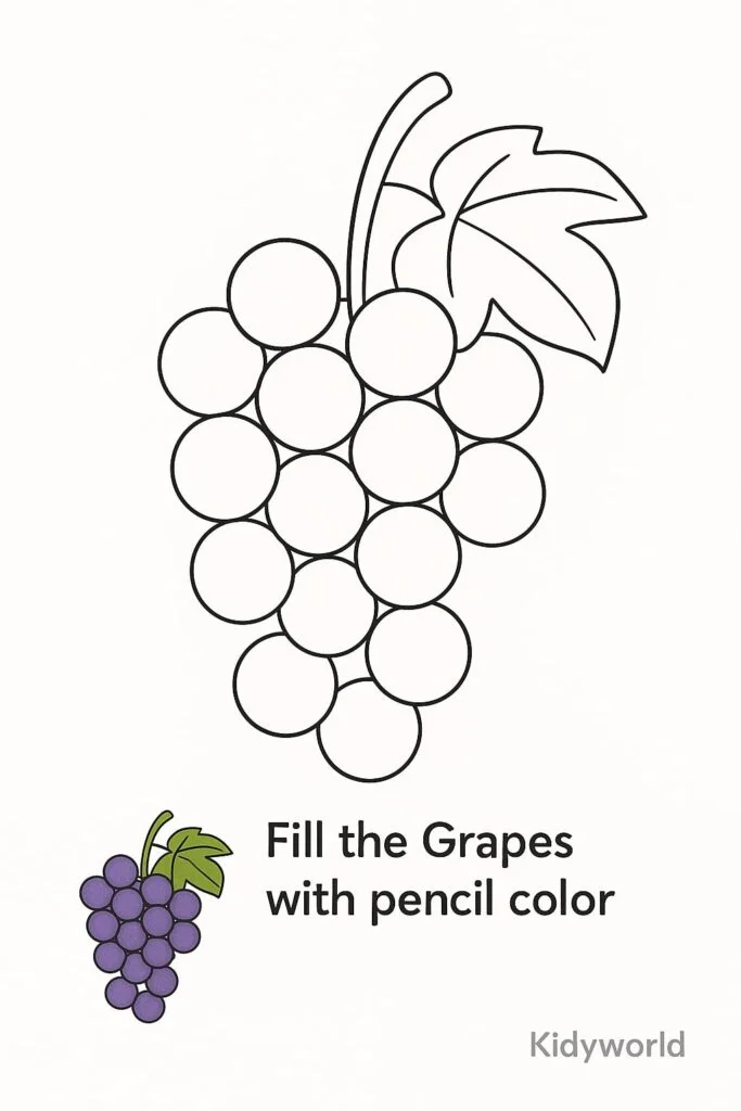 Grapes